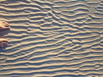 Low section of man on sand at beach