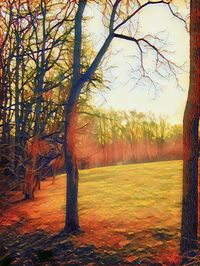 Trees on landscape during sunset