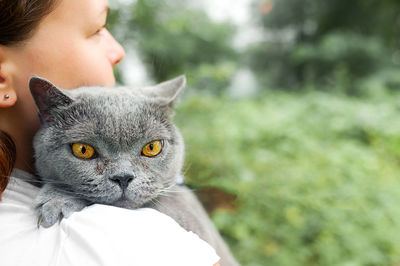 Woman holds and gently hugs her pet grey shorthair british cat on  street