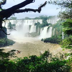 Scenic view of waterfall