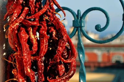 Close-up of red hanging outdoors