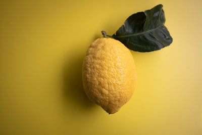 Close-up of orange fruit against yellow background