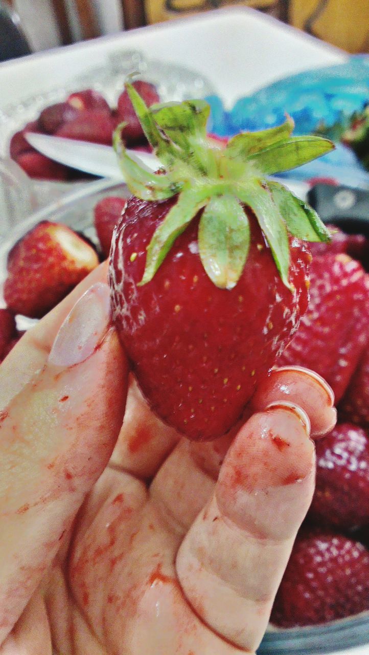 food and drink, food, freshness, red, healthy eating, indoors, close-up, fruit, strawberry, still life, vegetable, part of, cropped, high angle view, tomato, table, organic, raw food, one person, person