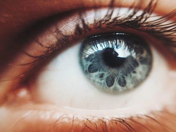Extreme close up of human eye