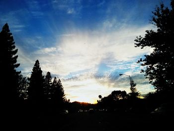 Silhouette of trees at sunset