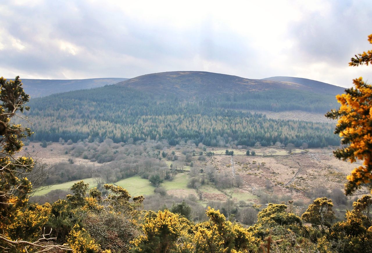 Glencree, County Wicklow.