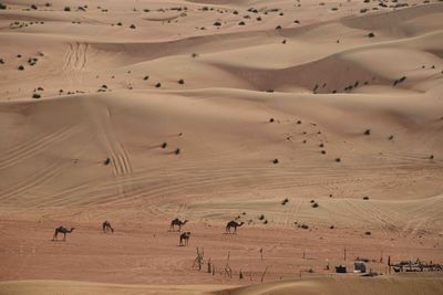 Group of people on sand dune