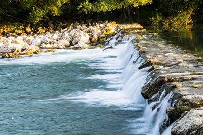 Scenic view of waterfall in forest