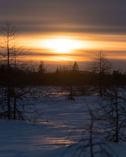 Scenic view of snow covered landscape during sunset