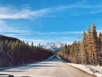 Highway running through evergreen forest in northern alberta with mountain in the distance