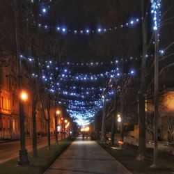 Illuminated street lights at night