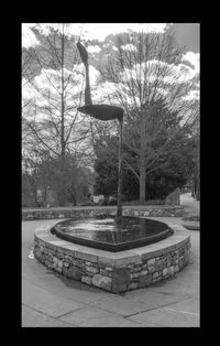 Pond in park