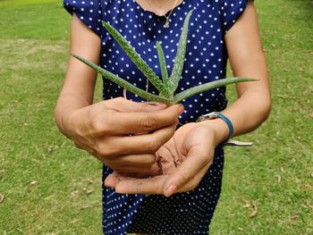 Midsection of woman holding leaf on field