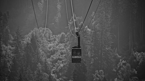 Cable car over trees in forest