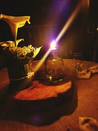 Plants in illuminated room