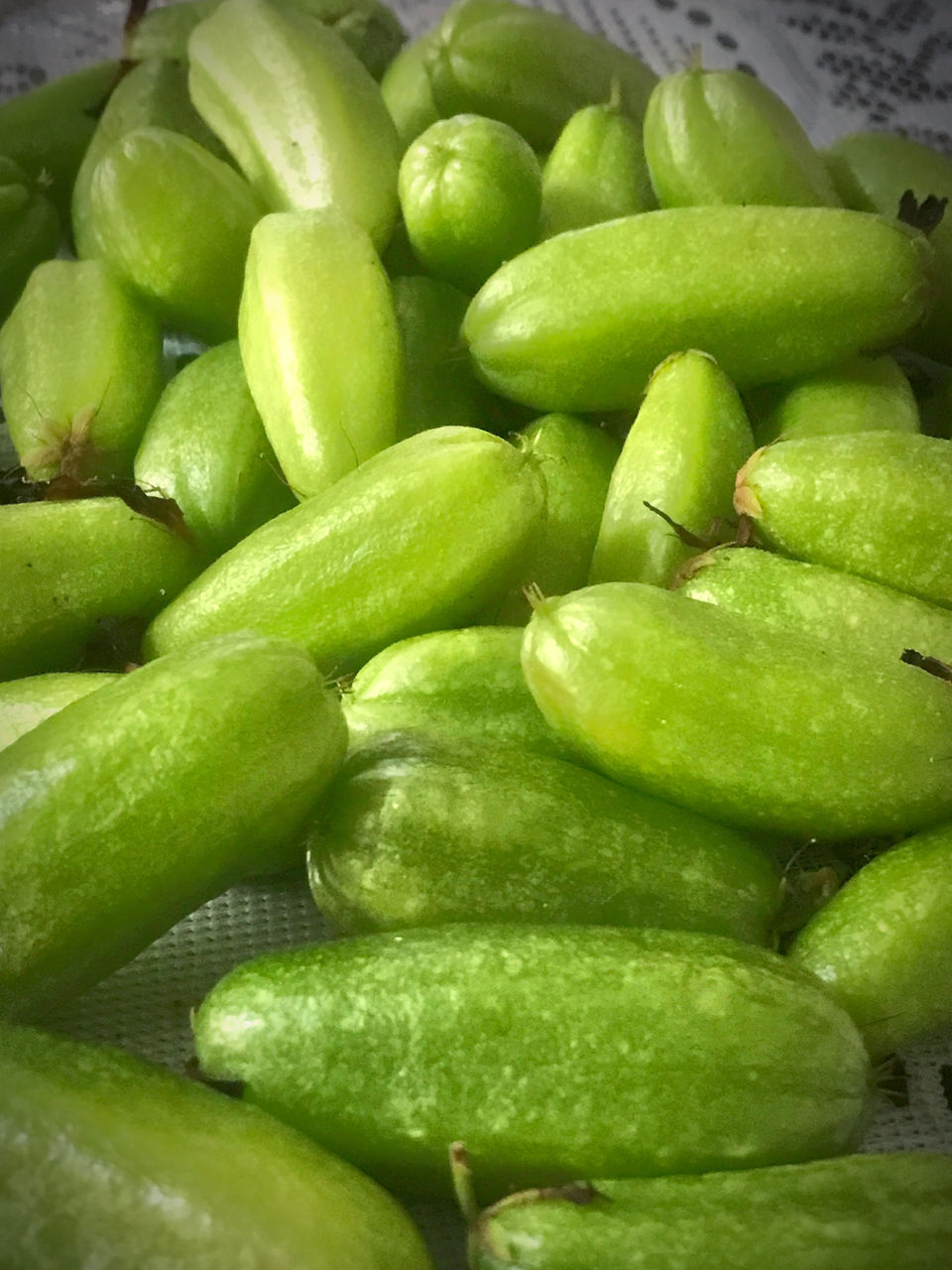 FULL FRAME SHOT OF GREEN FRUITS