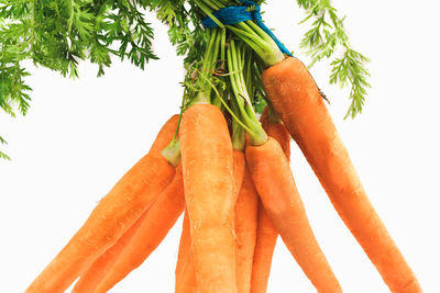 Close-up of fresh orange vegetables against white background