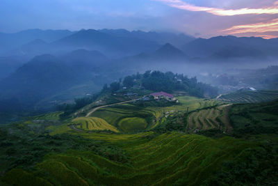 Scenic view of agricultural field against sky