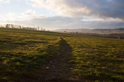 Scenic view of field against sky