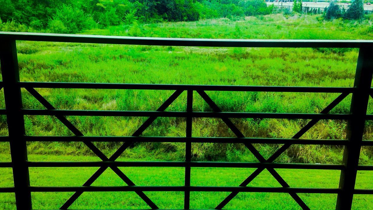 grass, fence, field, green color, growth, grassy, protection, landscape, nature, tranquility, safety, metal, tranquil scene, tree, rural scene, plant, beauty in nature, day, railing, no people