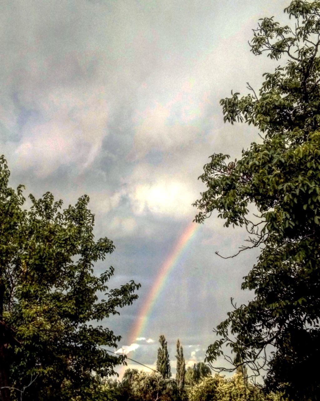 LOW ANGLE VIEW OF RAINBOW IN SKY