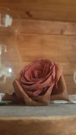 Rose on table at home