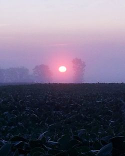 Scenic view of landscape at sunset