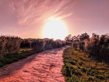 Dirt road amidst trees against sky during sunset