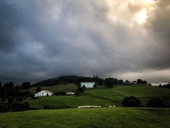 Scenic view of trees and buildings against sky