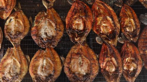 Close-up of fishes on barbecue grill