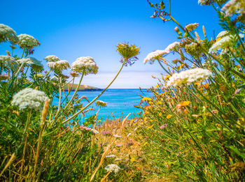 Scenic view of sea against blue sky