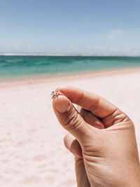 Cropped hand holding small crab at beach