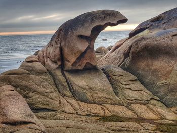 View of horse on rock by sea against sky