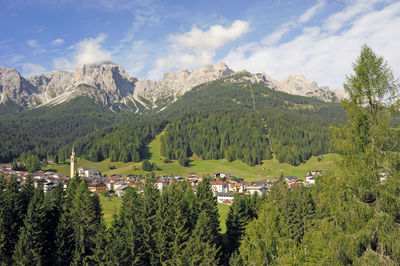 Scenic view of trees and mountains against sky
