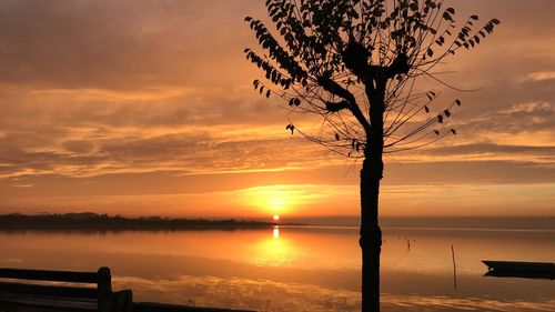 Silhouette tree by lake against sky during sunset