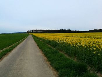 Scenic view of field against clear sky