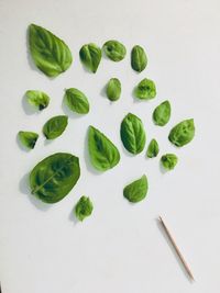 High angle view of vegetables on white background