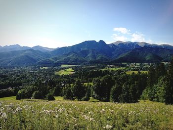 Scenic view of landscape against sky