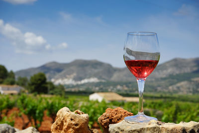 Close-up of beer glass against mountain