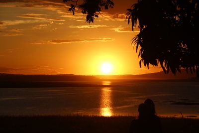 Silhouette of palm trees at sunset