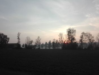 Silhouette trees on field against sky during sunset