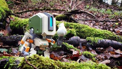 Close-up of toy on rock
