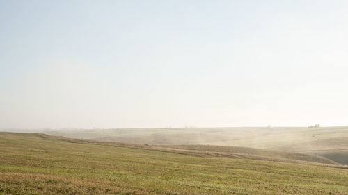 Scenic view of field against clear sky