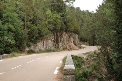 Road amidst trees against sky