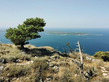 Scenic view of sea against clear sky