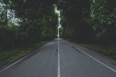 Empty road amidst trees in forest