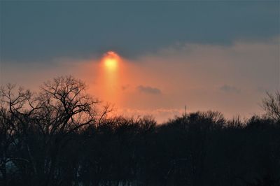 Silhouette bare trees against sky during sunset