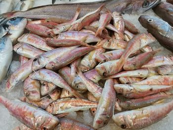 High angle view of fish for sale in market