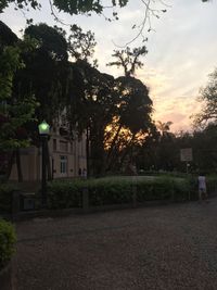 Trees by street in park against sky at sunset