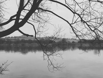 Reflection of bare trees in lake against sky